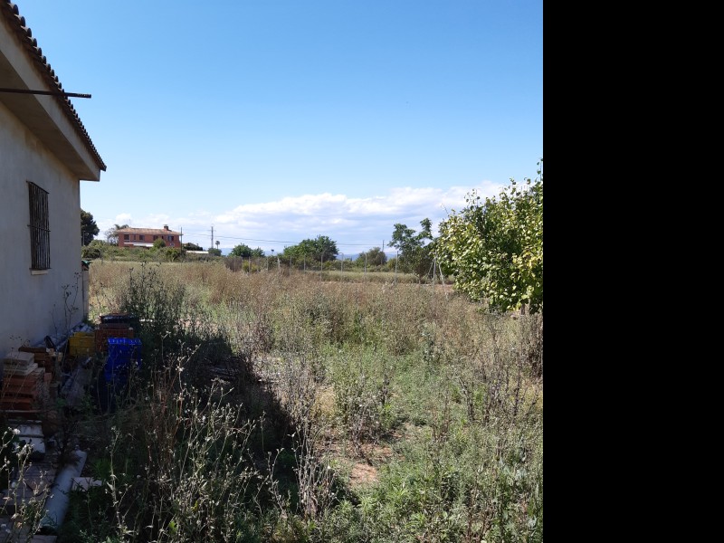 Parcela en venta en Zona Pueblo - NDC-1175