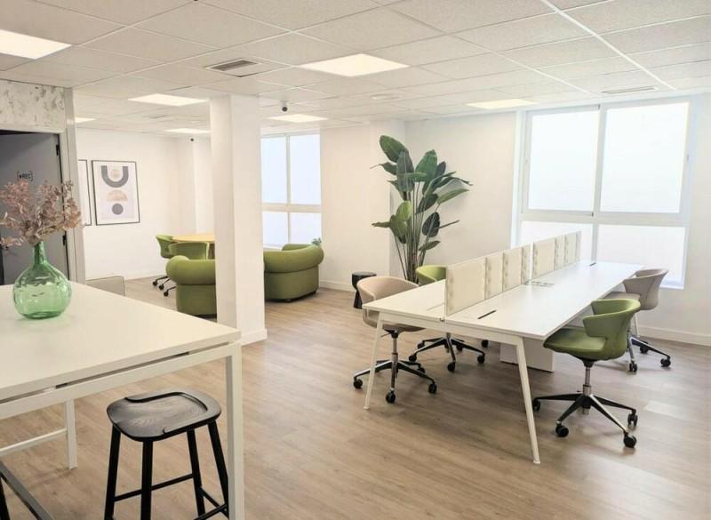 Büro zum miete in Casco Antiguo - NZV-527-03446PL