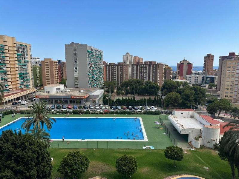 Studio for sale in Benidorm - GRO-01906