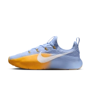 Nike LeBron TR 1 Bleu