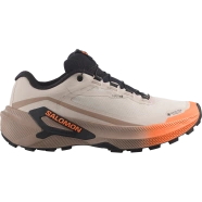 SALOMON Genesis 2 Gtx W