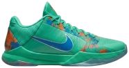 Nike Kobe 5 Protro NY vs. NY