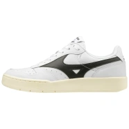 Mizuno city wind