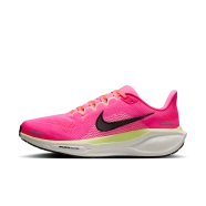 Nike route Pegasus 41