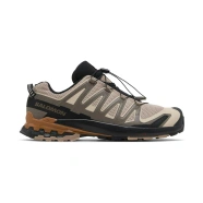 SALOMON XA PRO 3D v9 beige Marron
