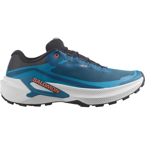 SALOMON Genesis 2 Gtx