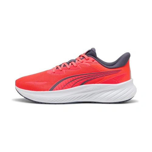 Pounce Lite 2