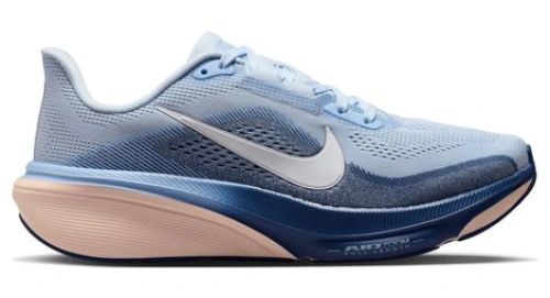 Nike Pegasus 42