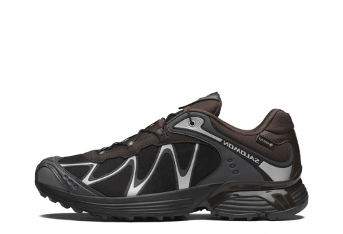SALOMON XT-Whisper GTX Delicioso Asphalt
