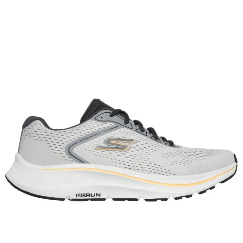 Go Run Consistent 2.0