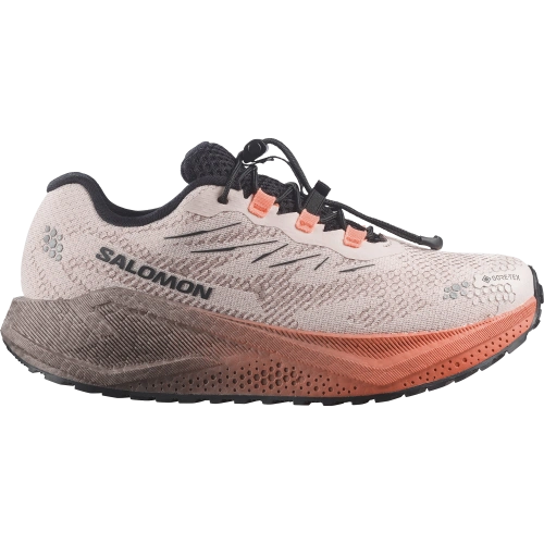 SALOMON Aero Blaze 4 Grvl Gtx W