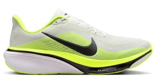 Nike Pegasus 42