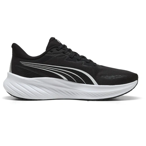 Pounce Lite 2