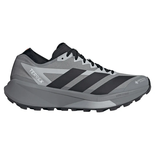 Terrex Agravic GTX2
