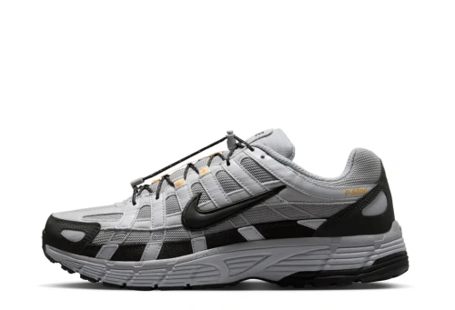 hiver P6000