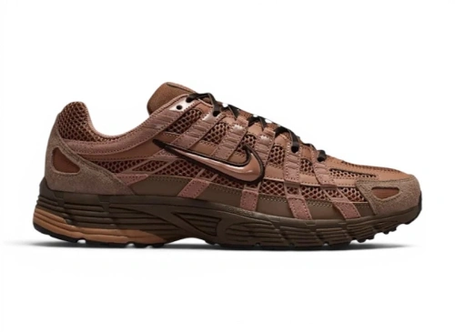 Nike P-6000