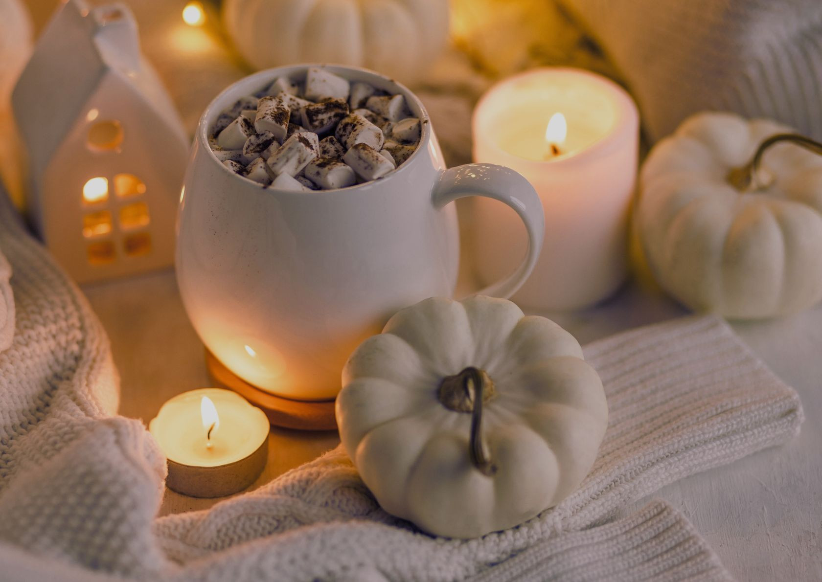 NOUVEAU PACK RECETTES