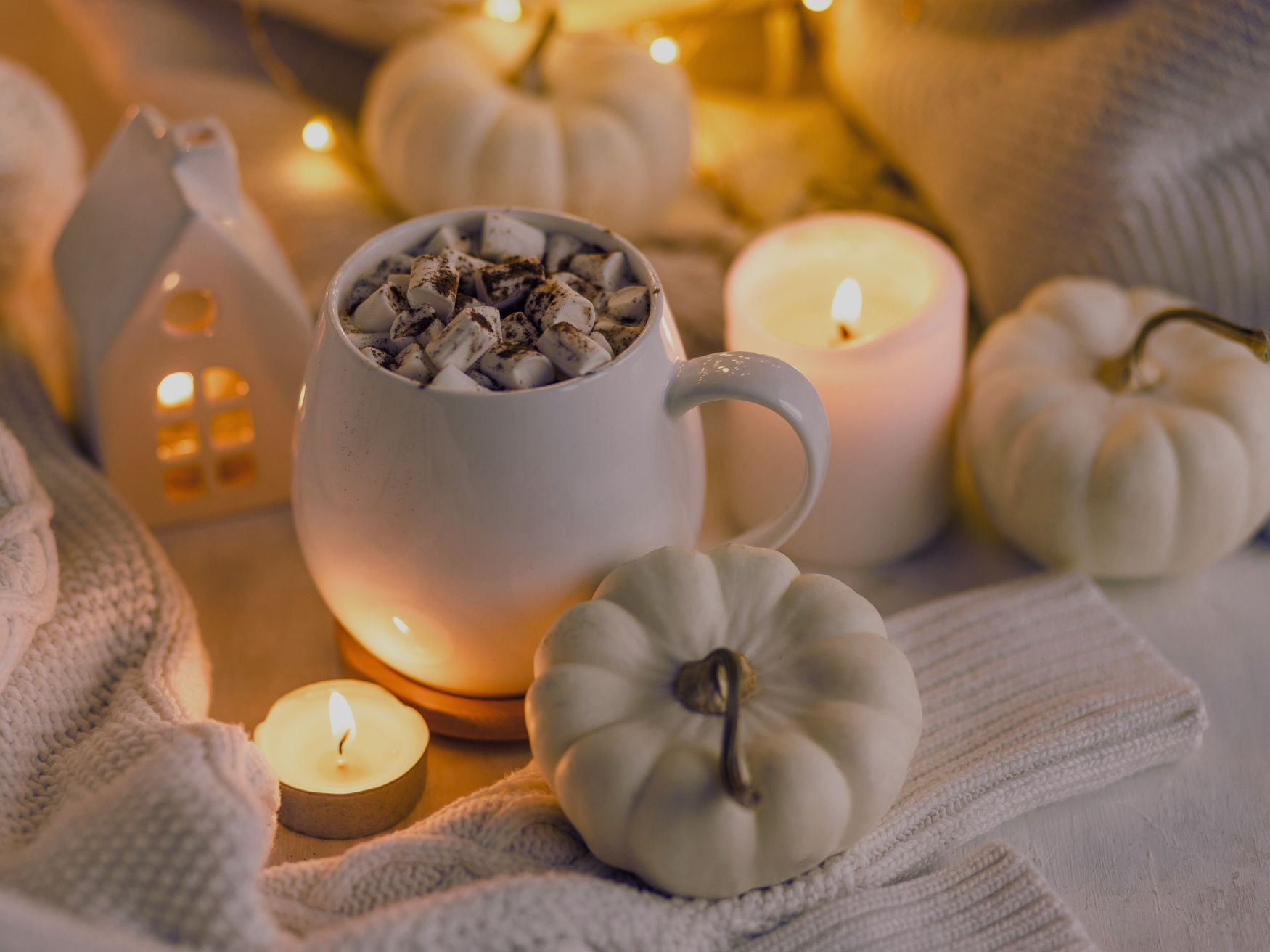 NOUVEAU PACK RECETTES