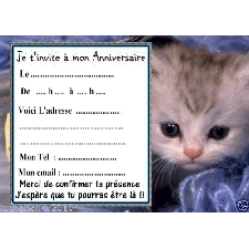 Fetes Occasions Speciales 5 Cartes Invitation Anniversaire Chat 01 D Autres Cartes Anniversaire En Vente Autres