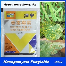 Kasugamycine KSM 6% ? 10g fongicide agricole stérilisation des plantes traitement des maladies bactériennes des plantes jardin domestique