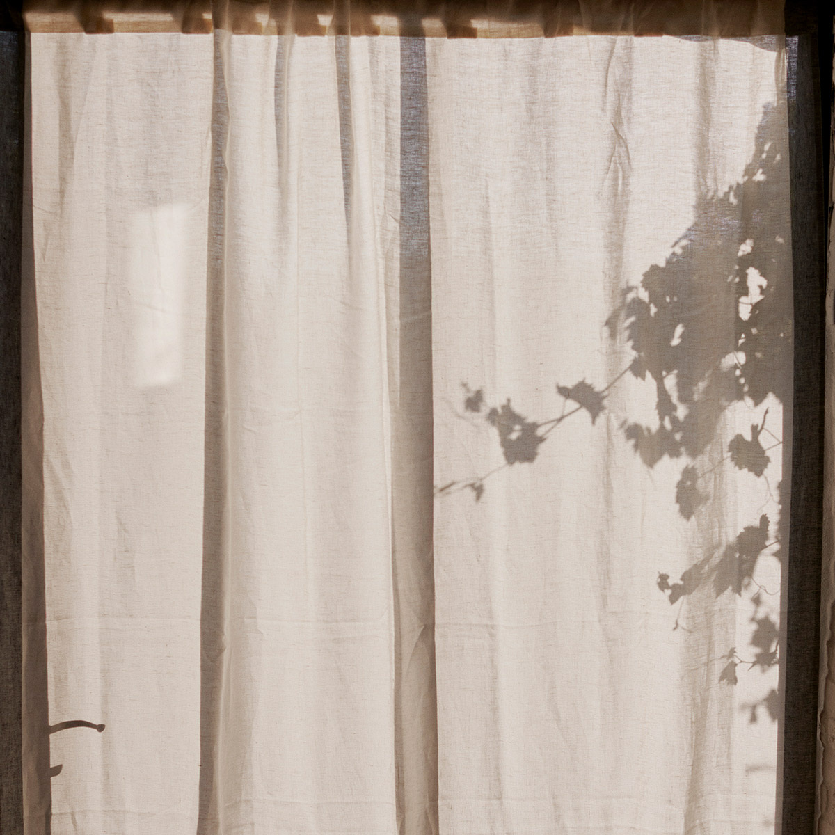 Curtain Ava, Jasmine / Black - 170 x 295 cm - 100% linen - image 5