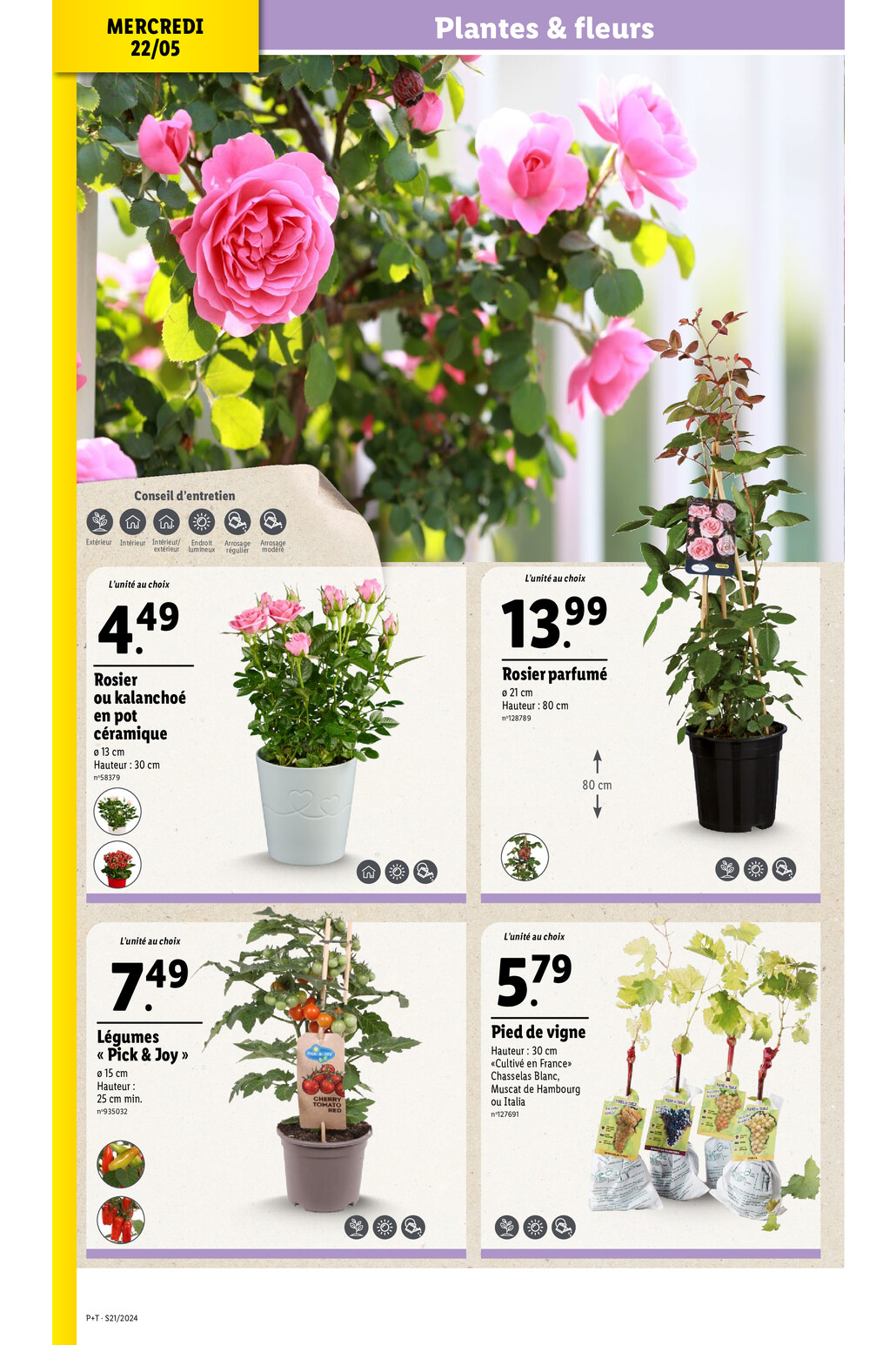 Catalogue Lidl - Valable du 20 mai au 26 mai