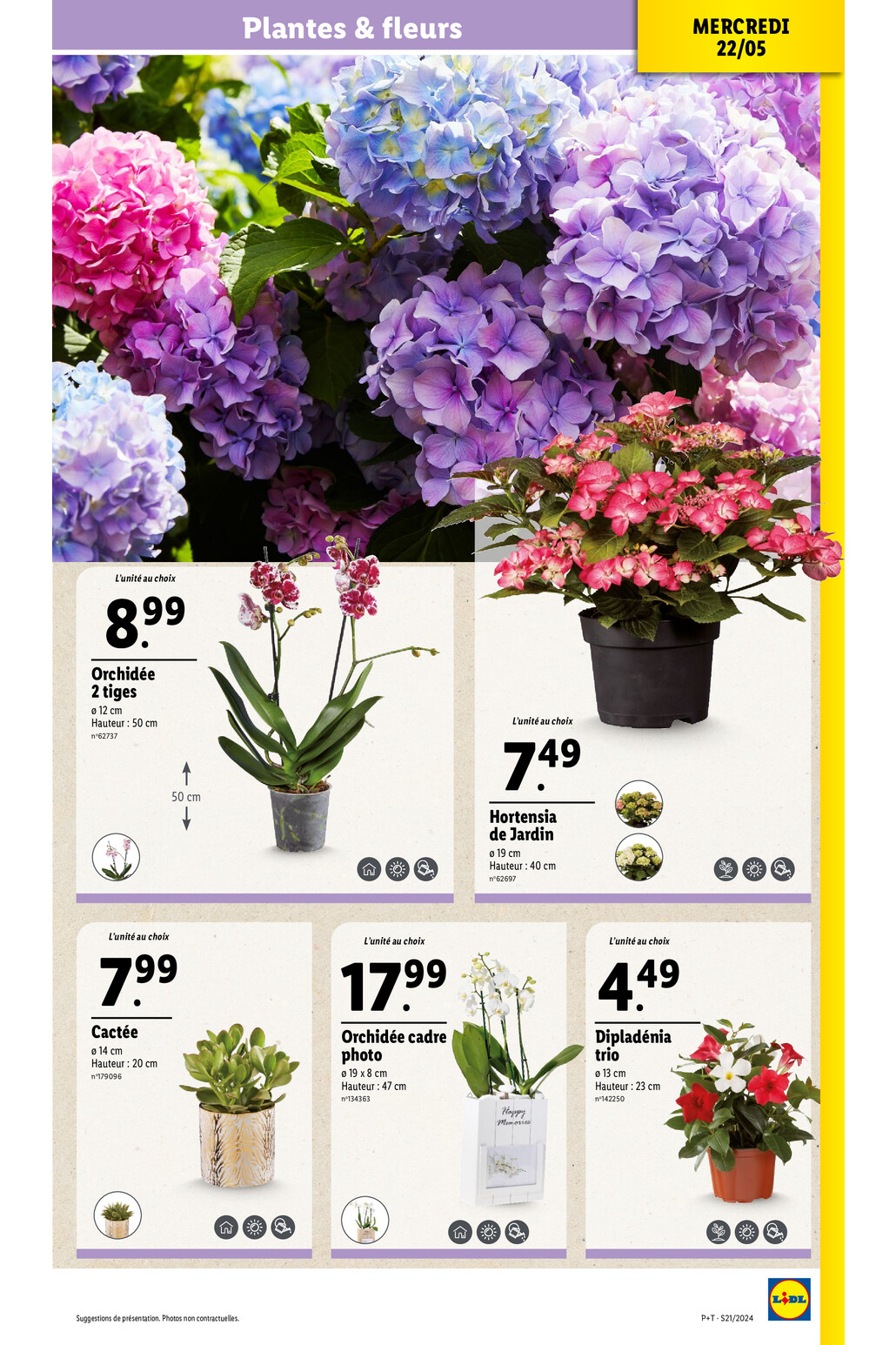 Catalogue Lidl - Valable du 20 mai au 26 mai